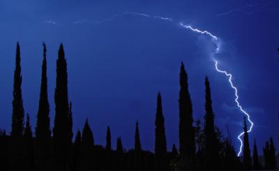 A thunder is  failing to terrify seventeen cypresses