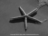 <b>Poetry On The Shore</b><font size=2><br><a href=http://www.pbase.com/707er>by Mark J</a></font>