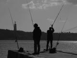 <B>the man and the river</B><BR><FONT size=2>Jos Maria Simes</FONT>