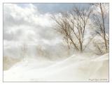 <b>2nd Place: <br>Snowdrifts ... *  </b><br>by Bee