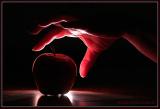 <br>1st Place:  <br> FORBIDDEN</b>*<br>by LENWOODBLUZ