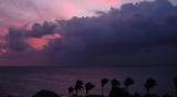 <b>Trouble in Paradise</b><br>by Peggy Cashmer