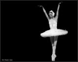 <b>Swans  dance *</b> <br> by Yuri Pautov