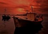 <B>1st Place: <br>Sailors delight...</B><BR><FONT size=2>*by Moti</FONT>