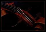 violin by Katherine Kenison
