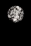 Todays Moon<br>by West of Cary