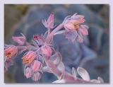 <b>2nd<br>morning mist</b><br><font size=1>by Bev Brink</font>