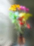 Behind a frosted shower door.jpg
