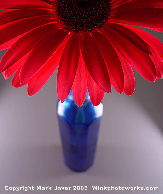 <b>Unique Perspective</b><br><font size=2>by Mark J</font>