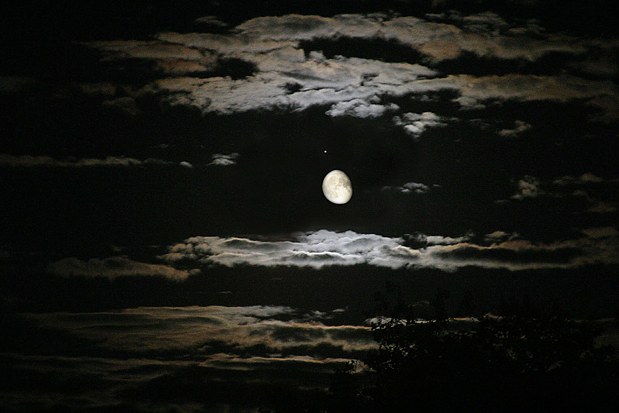 <B>Moonlit Night</B><BR><FONT size=2>Ann Chaikin</FONT>