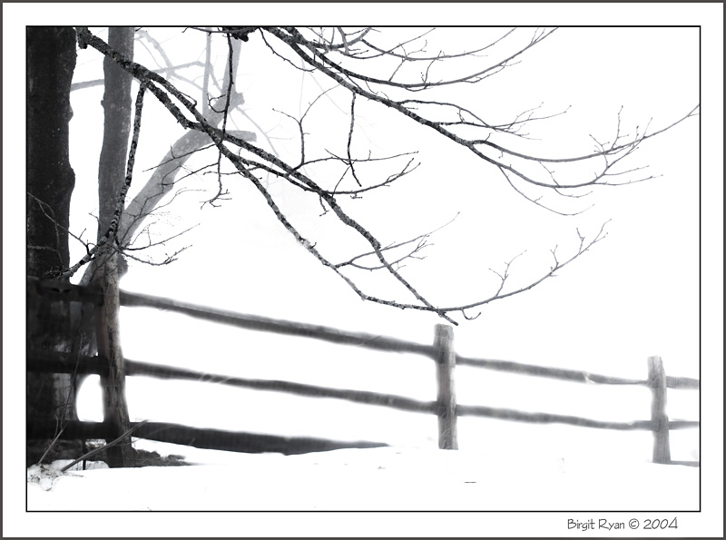 <b>8th Place: <br>Fog and Snow ( * ) </b><br>by Bee