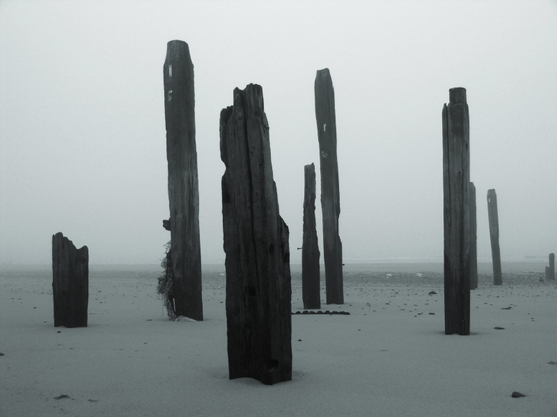<b>Still Standing</b><br>by Steve Cheetham