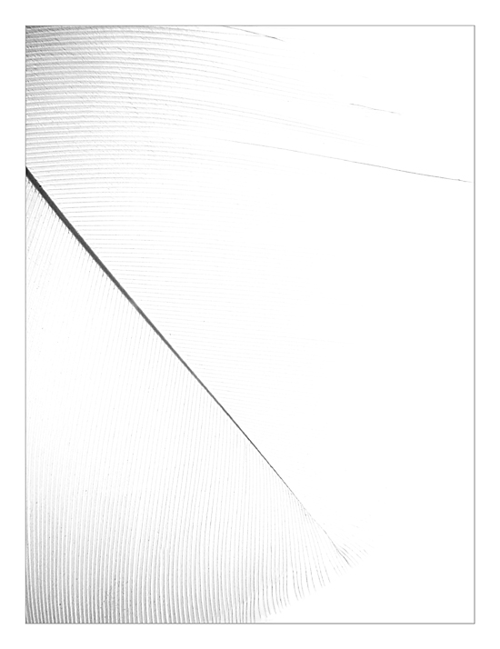 Light as a Feather<br>by MFC