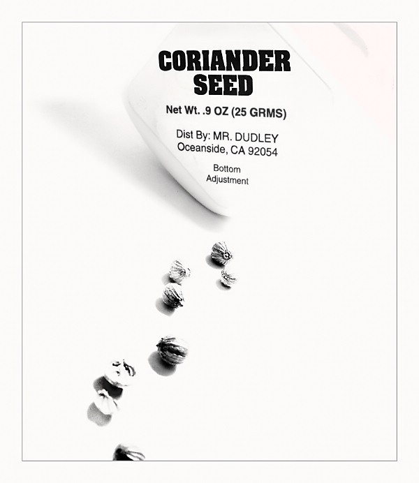 Coriander<br>by MFC