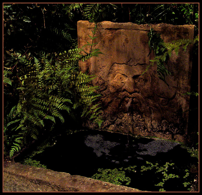 black pool<br>by Michael Puff
