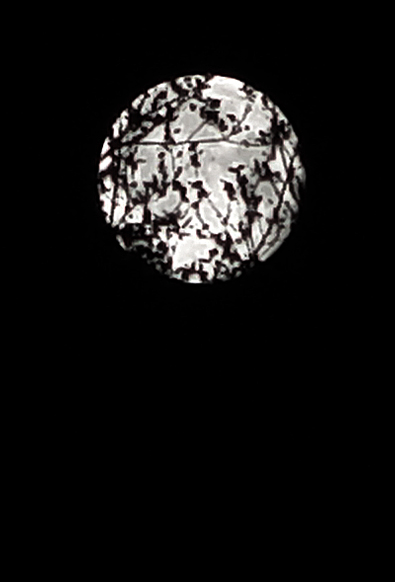 Todays Moon<br>by West of Cary