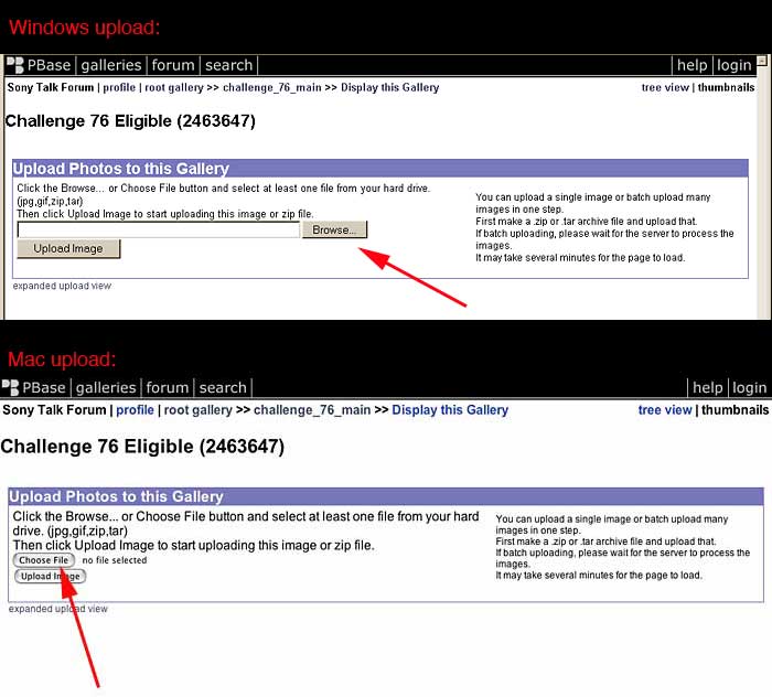 Step 7 - Choose image to upload