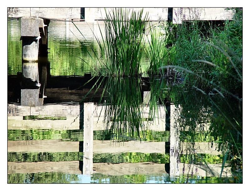 Reflected