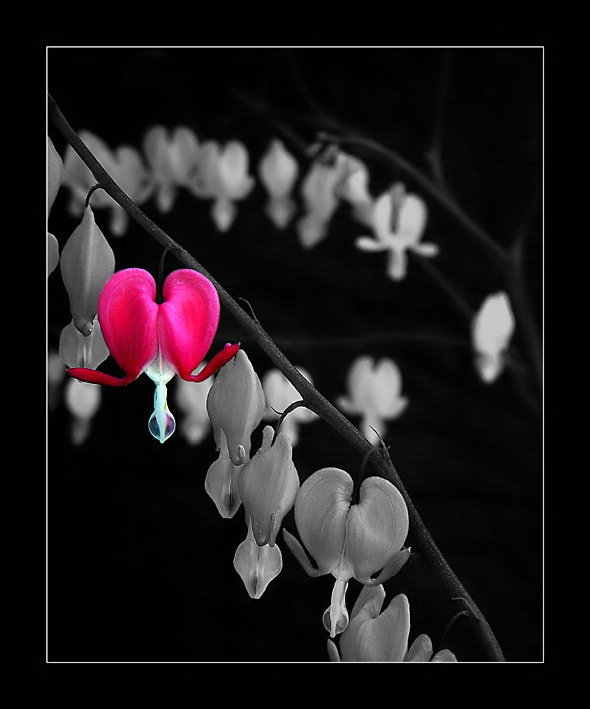 <b>9th(tie)<br>Be My Valentine</b><br>by MFC