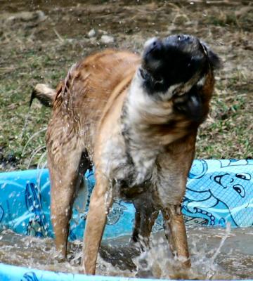 Emma cools off