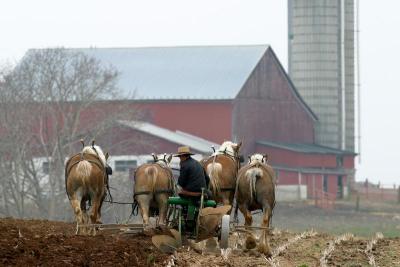 19-Checking the furrow