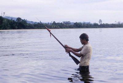 Fishing with homemade speargun