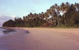 Palawan beach