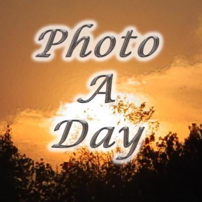 Photo A Day or 2