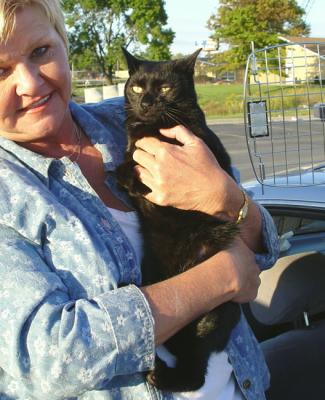 A little black Munchkin cat that came along