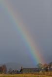 #043 Rainbow