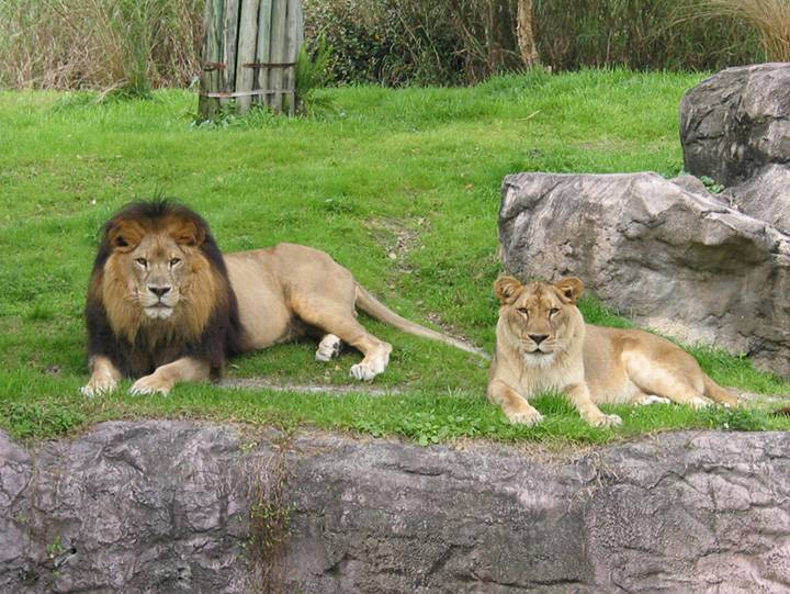 171-7175_IMG.JPG