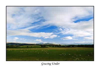 Grazing under