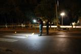 Hit and Run leaves 2 children Dead