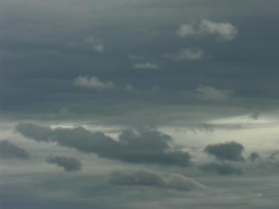 DSCN0778.JPG