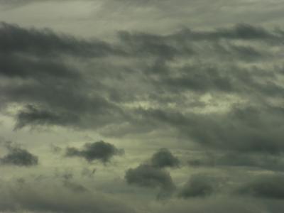 DSCN0782.JPG