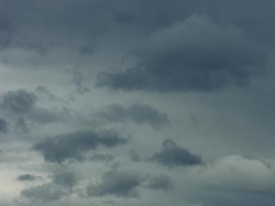 DSCN0813.JPG
