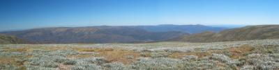 View from Mount Bogong, VIC (summer)