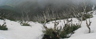u42/tlun/medium/34242786.bsnow09.jpg