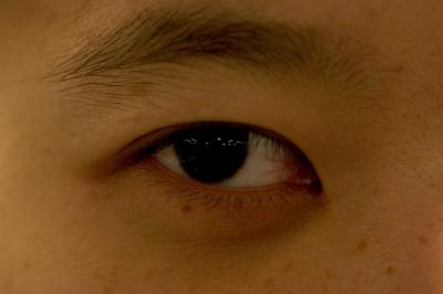 u42/tmyau/medium/40667042.CRW_3280.jpg