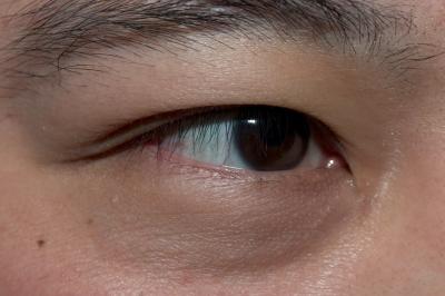 u42/tmyau/medium/40667046.CRW_3344.jpg