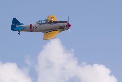 another T-6 Texan