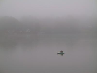 Morning mist