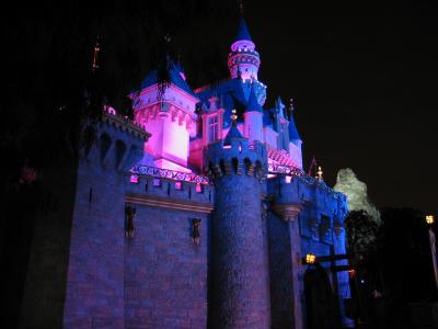 Sleeping Beauty Castle at night