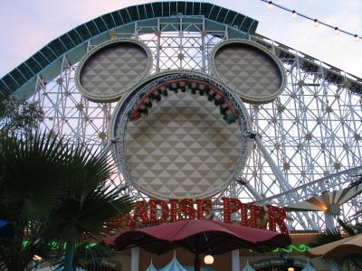 California Screamin' Loop