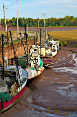 Wharf near Delhaven