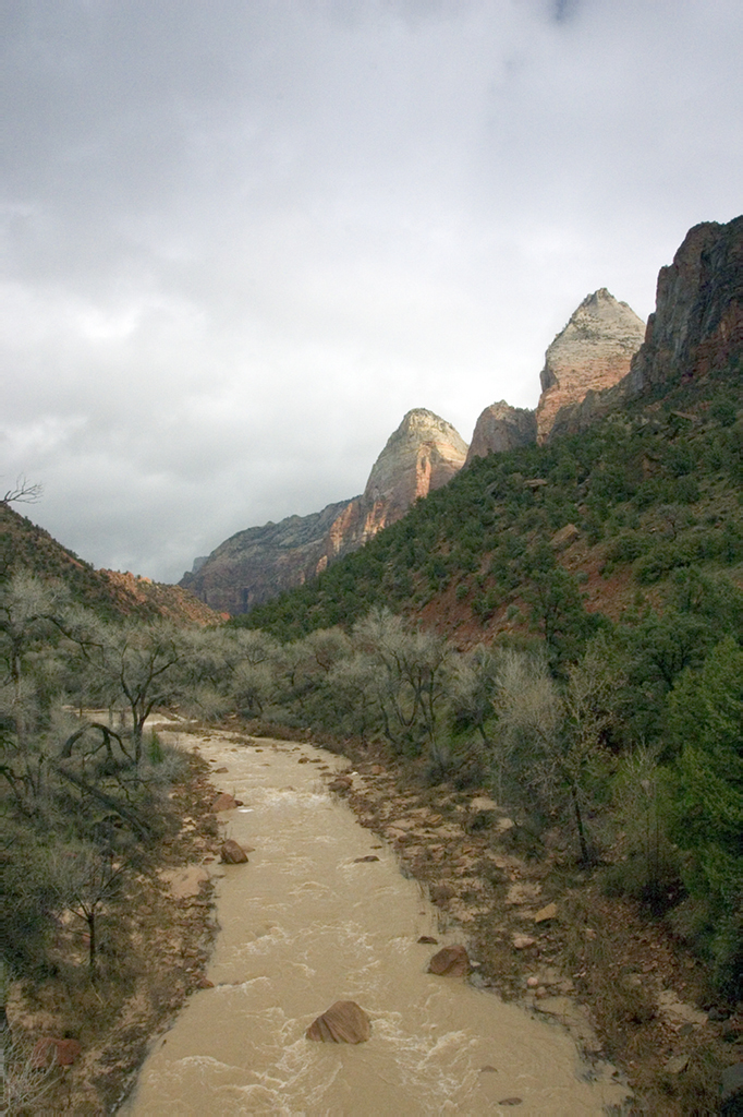 Virgin River, Zion