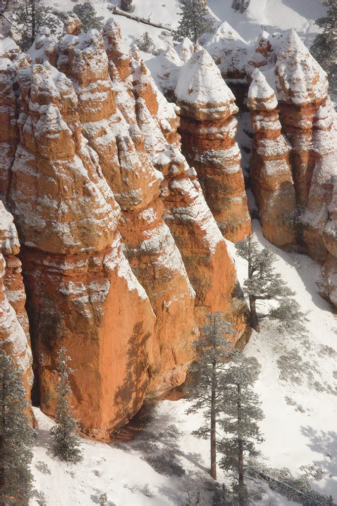 Hoodoo Details