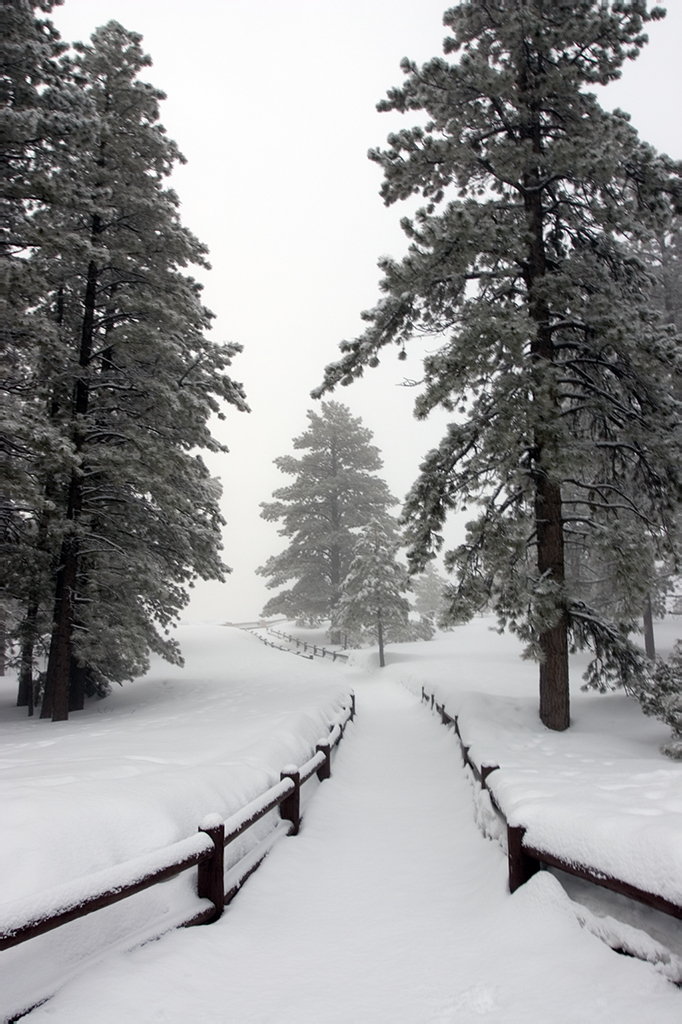 Way too much snow
