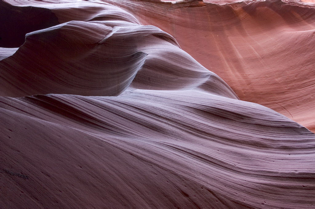 Canyon X Forms