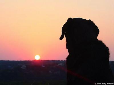 Asia and Sunset